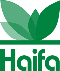 Haifa Logo
