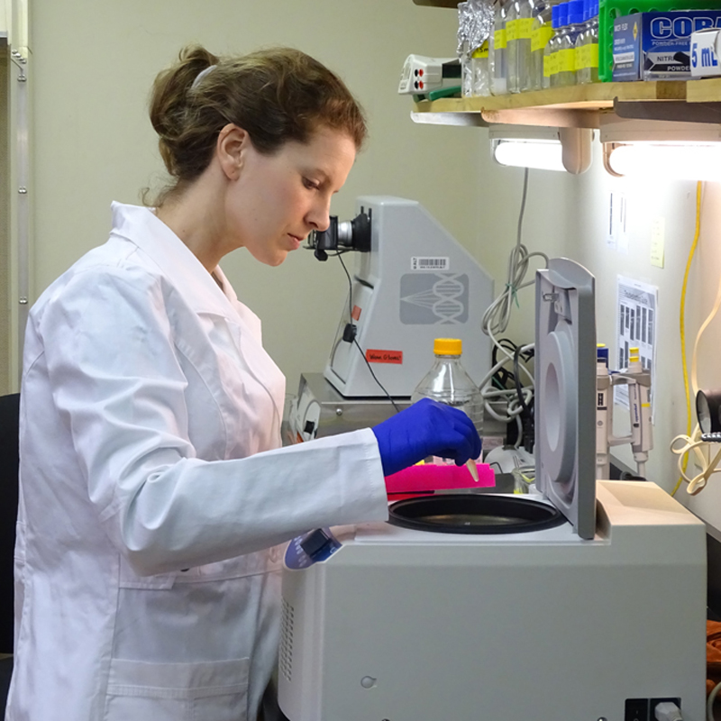 Christine works with instruments in the lab.