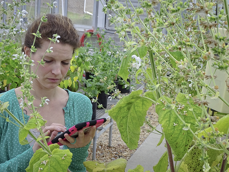 Researcher gathers data.