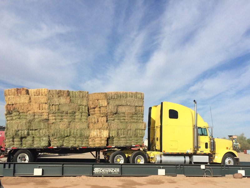 Truckload of hay bales