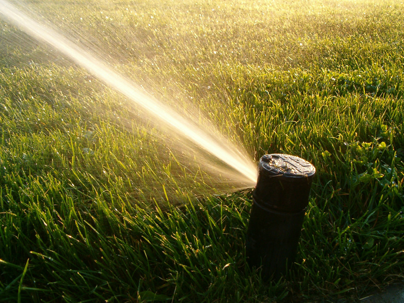 Sprinkler watering grass.