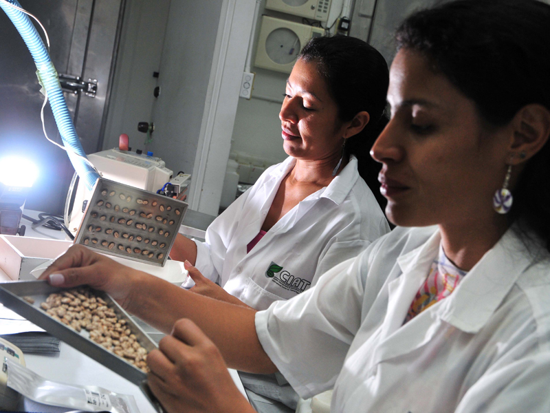 two women with seeds