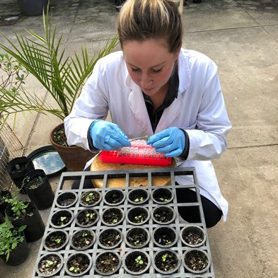 women with plant specimens