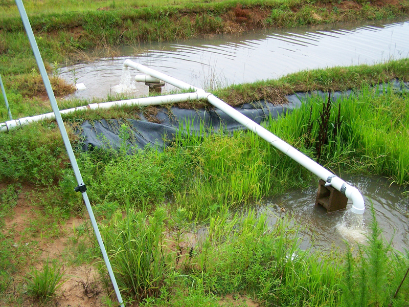 Rice filtering monitor