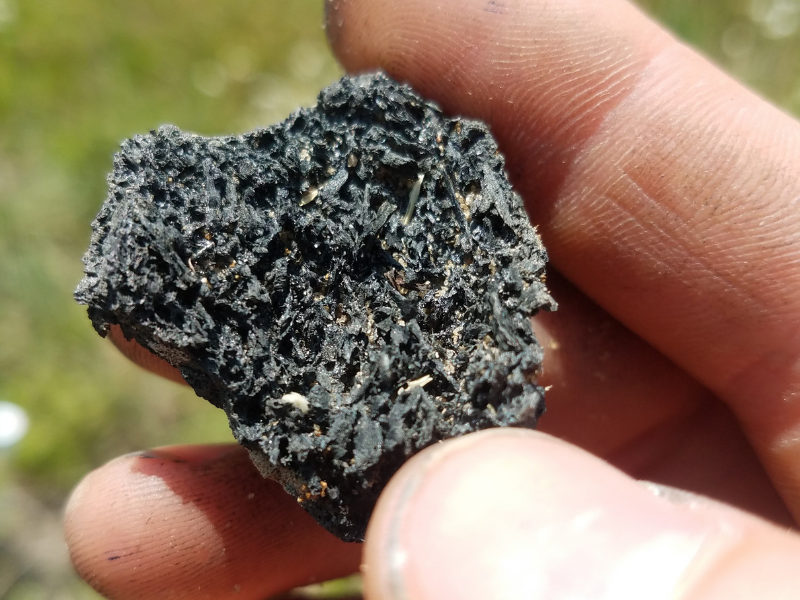 hands holding large piece of biochar