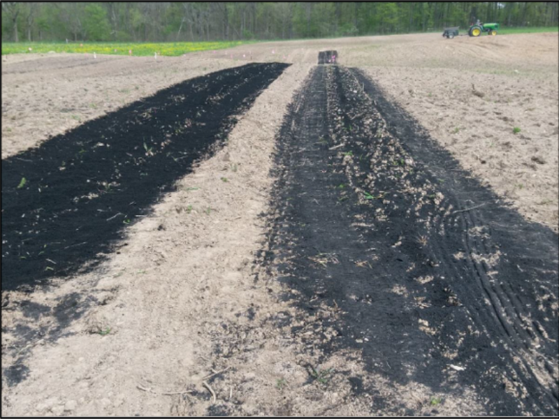 biochar spread onto surface of soil in field