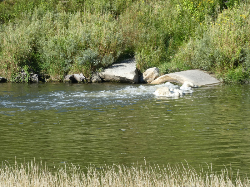 Treated wastewater flowing into river