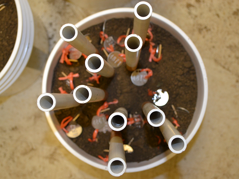 Tubes in bucket for experiment