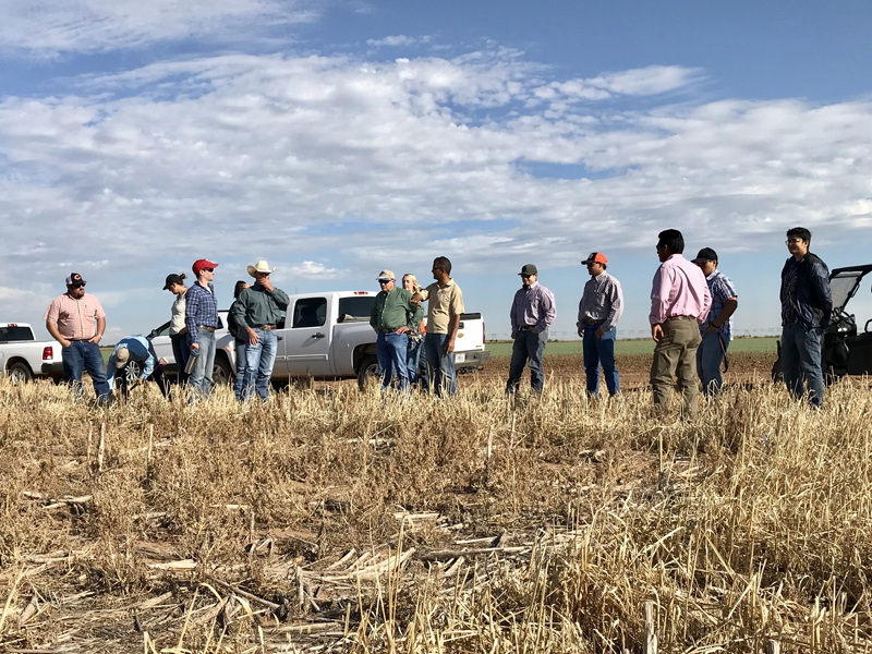 Group of men listening to scientist in field.