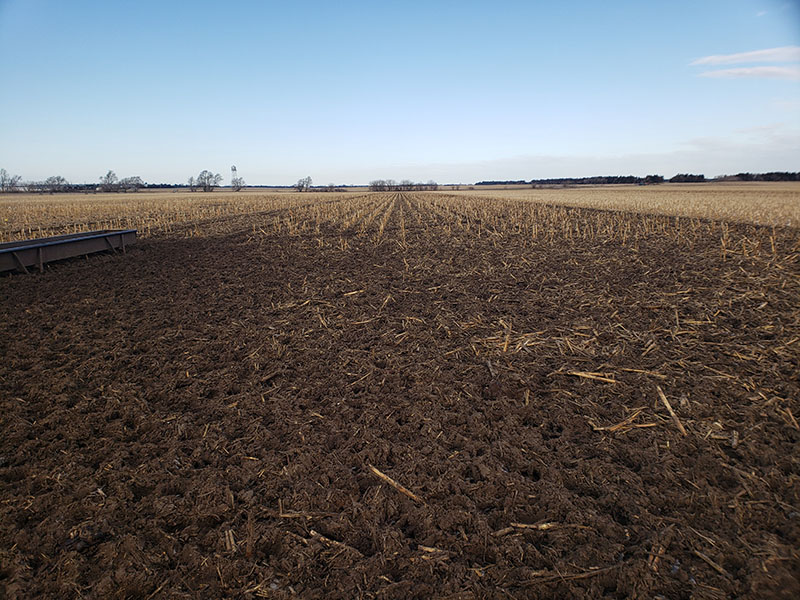 Empty field after grazing with some corn stubble