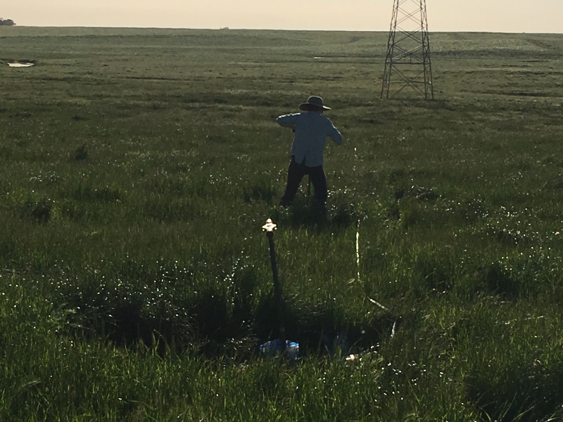 Person using auger to take soil sample in field