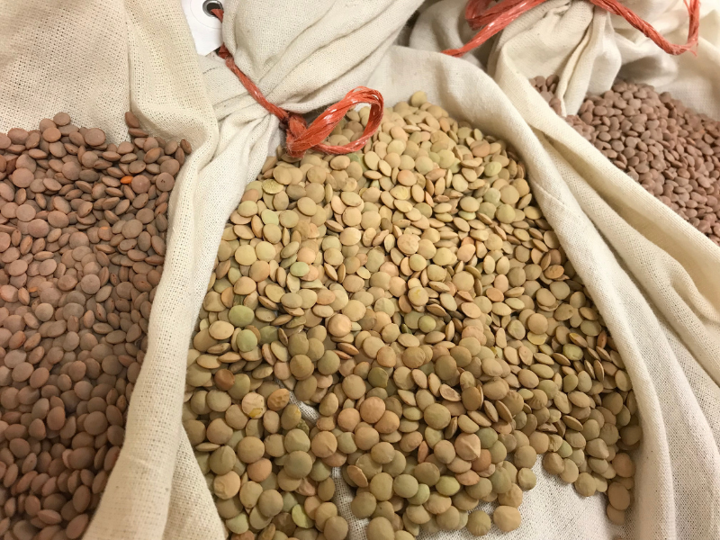 three sacks filled with different varieties of lentil seeds