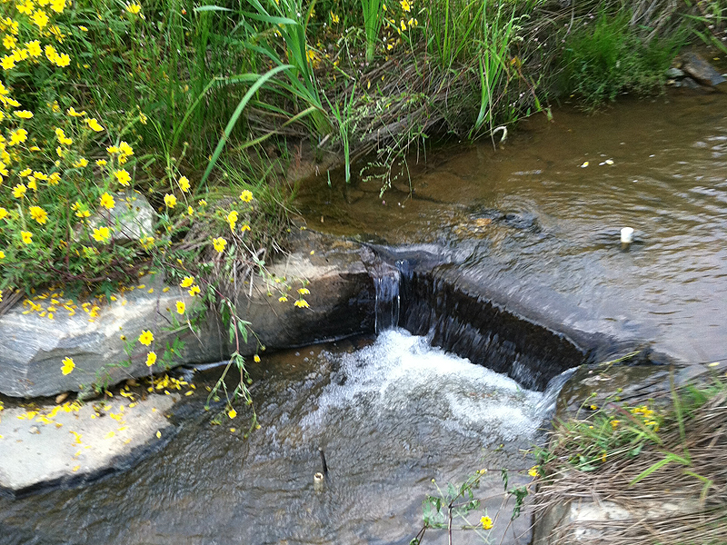 stream with small waterfall.