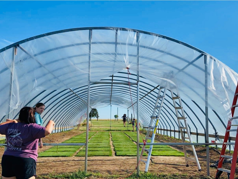 two people in front of two ladders and a greenhouse structure covered with a tarp