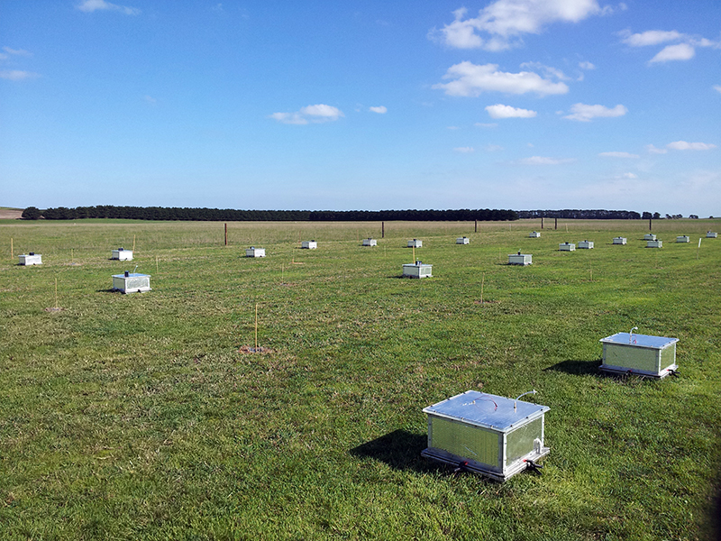 box-like measuring stations in grass field