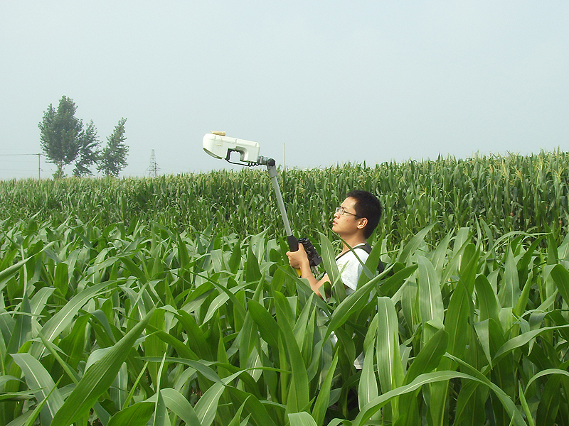 student uses the GreenSeeker sensor in corn field 