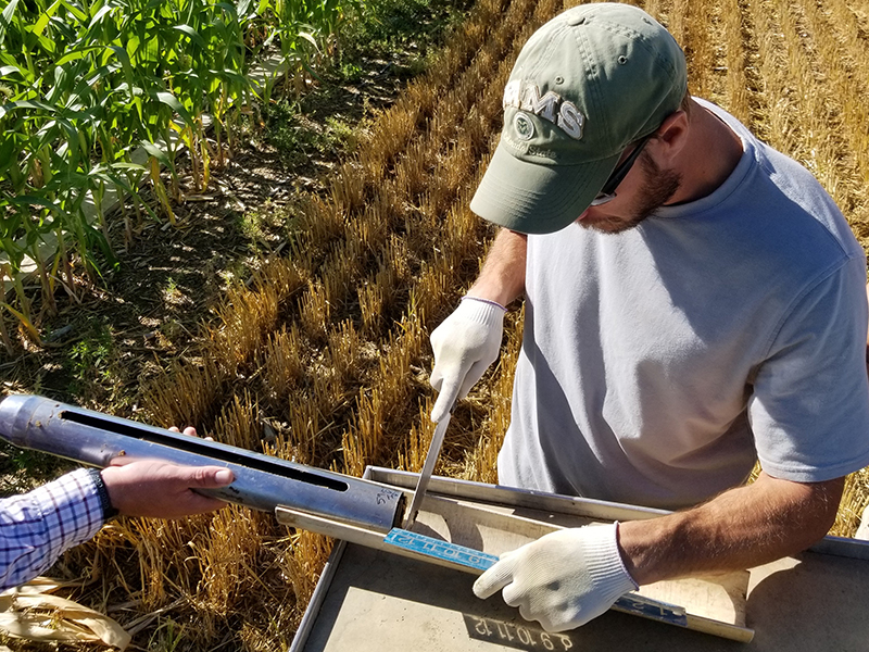 Researcher collecting soil samples