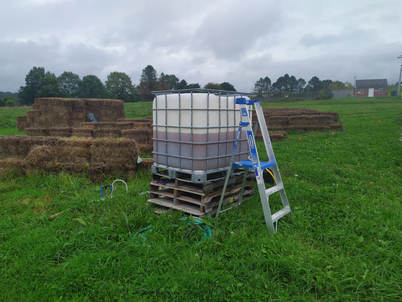 ladder next to vat of urine on pallets next to hay bales in field with trees, house and sky in background