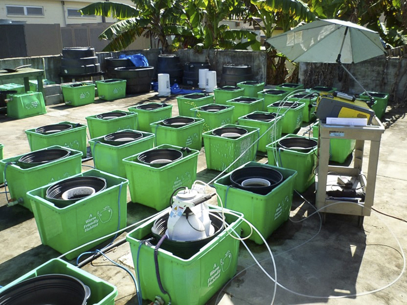 Green tubs in rows on pavement.