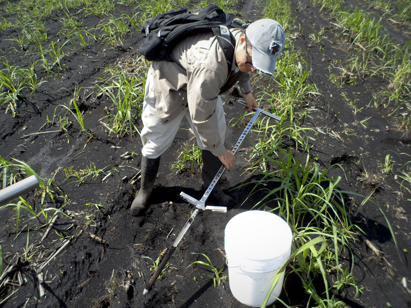 Man taking soil sample in field with dark soil.