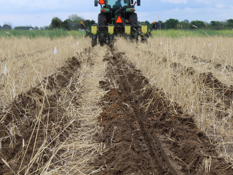 tractor in field with rows of soil