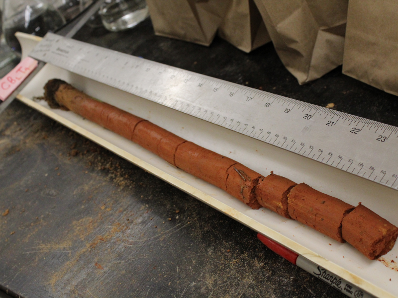 Scientists collect cores of soil at various depths