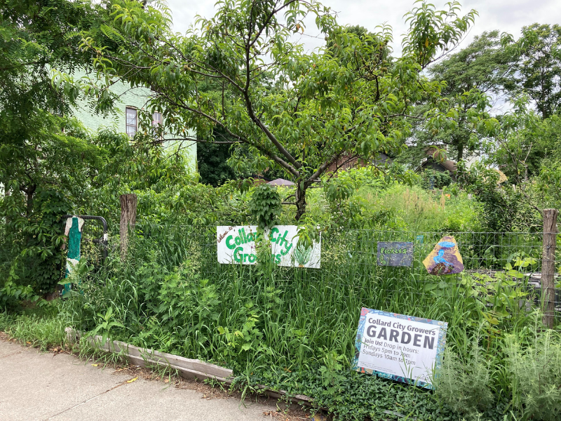 urban community garden with signs