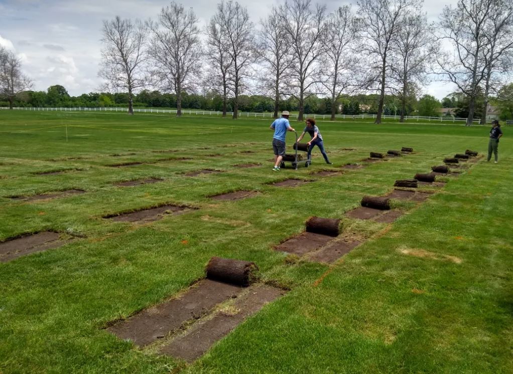 two scientists collecting dozens of small turf plot rolls in grass field