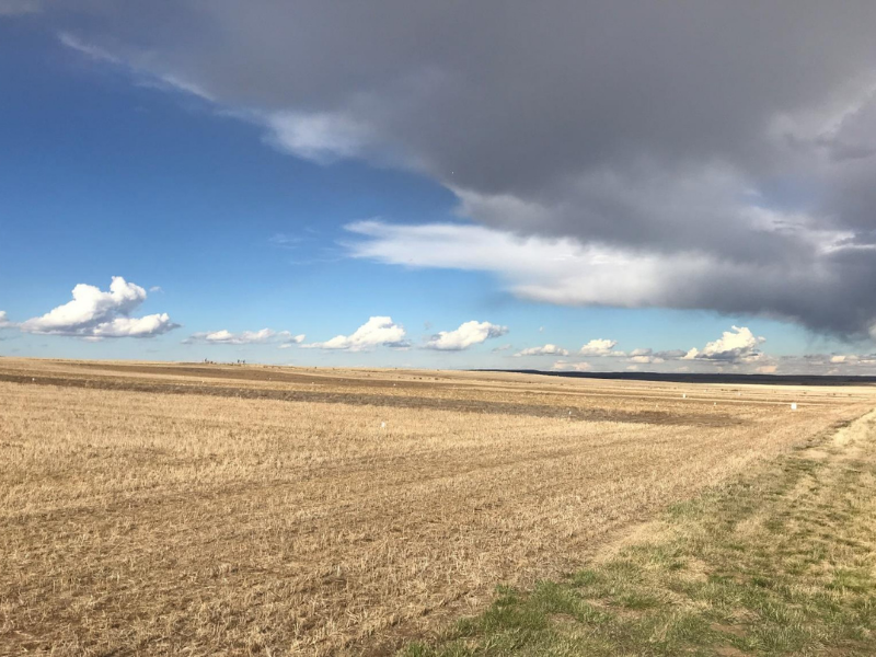 harvested farm field with sky and clouds in background