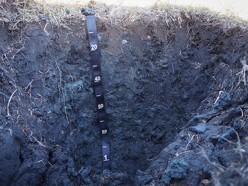 soil pit profile