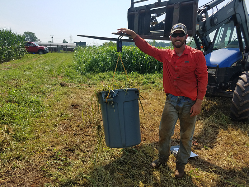 Researcher weights biomass crop in a large bin from the front of a tractor