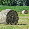 Picture of hay bale