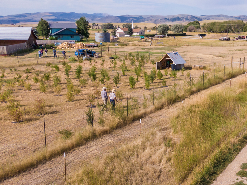 conservation field in Montana