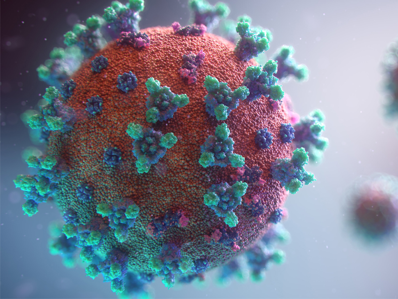 microscopic image of coronavirus