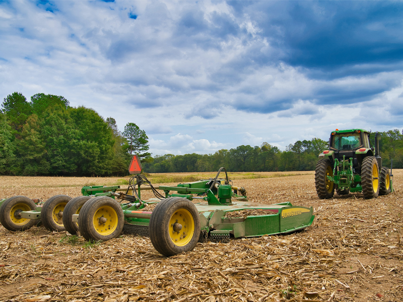 no till corn field