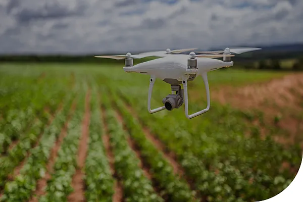 Drone flying over a field of crops