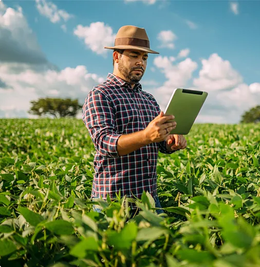 Man with a tablet in a soy bean field